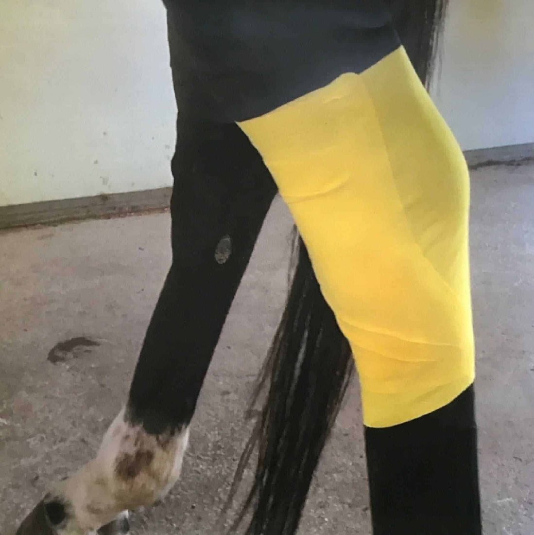 Ranvet Essential Wrap Bandage Medium-STABLE: First Aid & Dressings-Ascot Saddlery