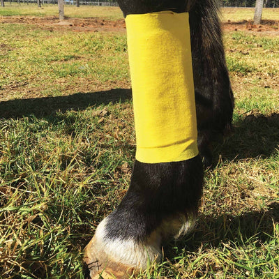 Ranvet Essential Wrap Bandage Small-STABLE: First Aid & Dressings-Ascot Saddlery