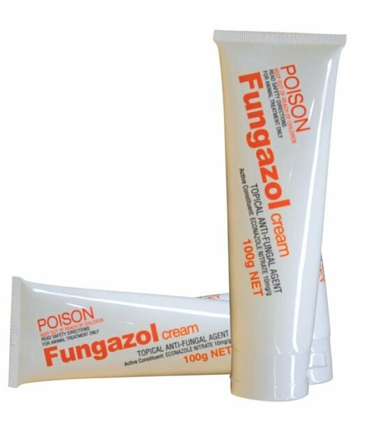 Ranvet Fungazol Cream-STABLE: First Aid & Dressings-Ascot Saddlery