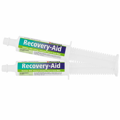 Ranvet Recovery Drench Paste 80gm-STABLE: Supplements-Ascot Saddlery
