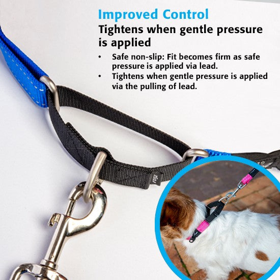 Rogz Control Dog Collar Web Blue-Dog Collars & Leads-Ascot Saddlery