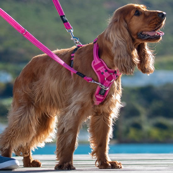 Rogz Control Dog Harness Red-Dog Collars & Leads-Ascot Saddlery