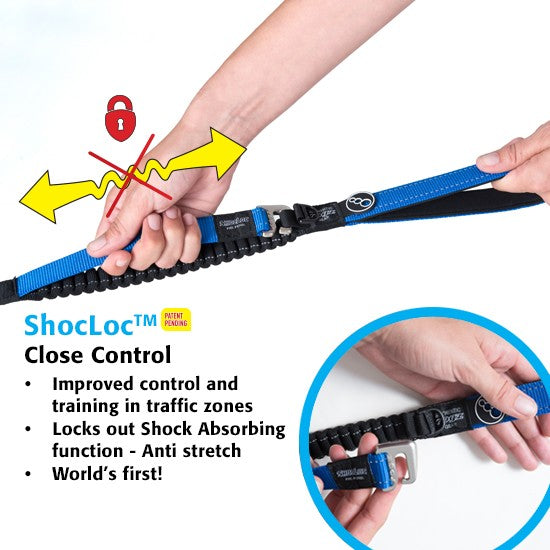 Rogz Control Dog Leash Red-Dog Collars & Leads-Ascot Saddlery