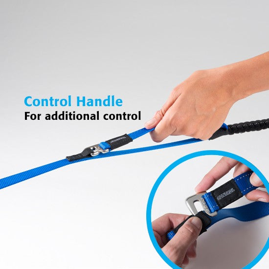 Rogz Control Dog Leash Red-Dog Collars & Leads-Ascot Saddlery