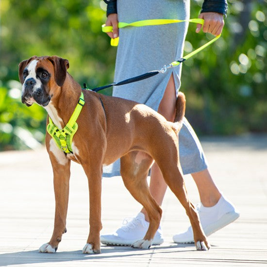Rogz Control Dog Stop Pull Harness Blue-Dog Collars & Leads-Ascot Saddlery
