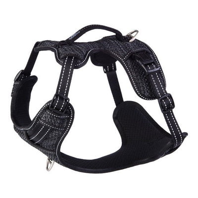Rogz Dog Explore Harness Black-Dog Collars & Leads-Ascot Saddlery