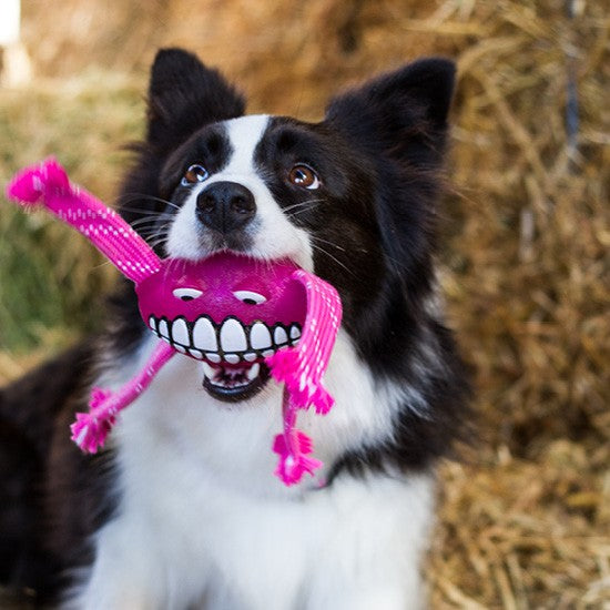 Rogz Dog Toy Flossy Grinz Pink-Dog Toys-Ascot Saddlery