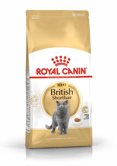 Royal Canin Cat British Shorthair 4kg-Cat Food & Treats-Ascot Saddlery