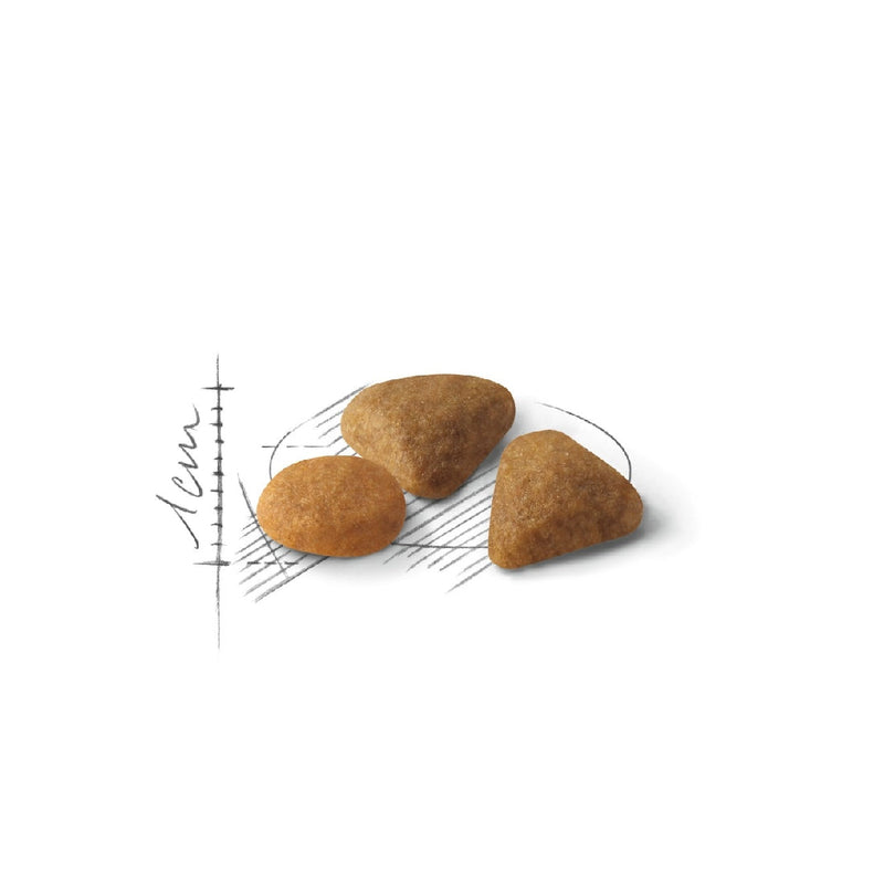 Royal Canin Cat Exigent Savour 4kg-Cat Food & Treats-Ascot Saddlery