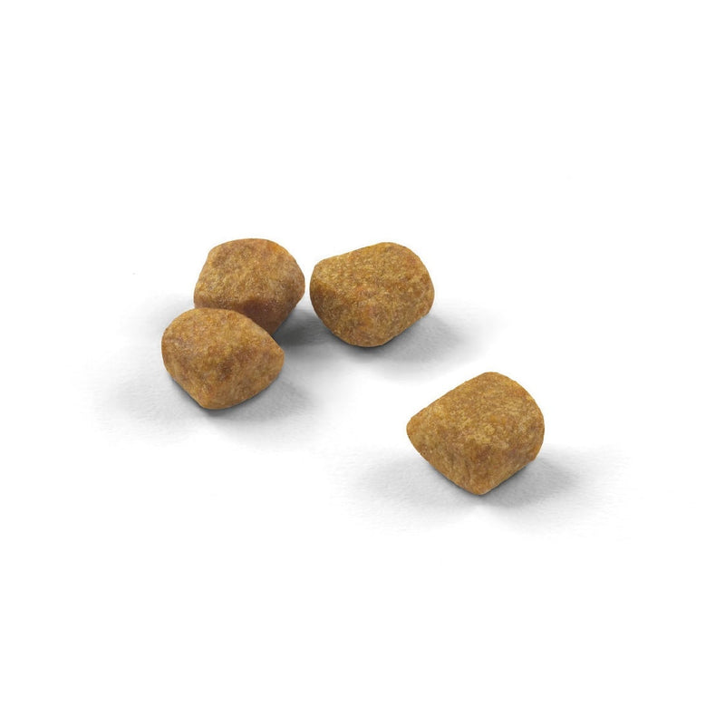 Royal Canin Cat Indoor 7+ 1.5kg-Cat Food & Treats-Ascot Saddlery