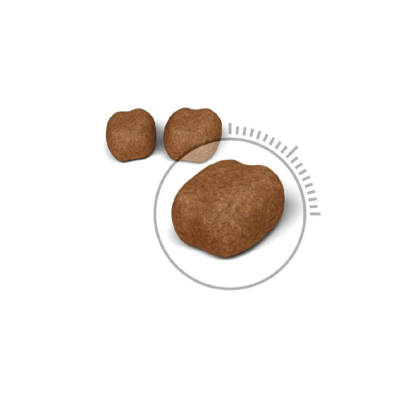 Royal Canin Cat Oral Care 1.5kg-Cat Food & Treats-Ascot Saddlery