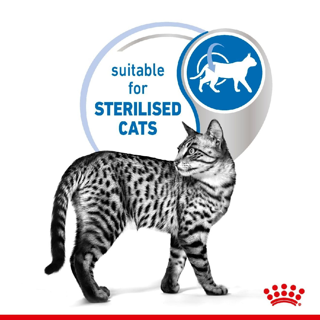 Royal Canin Cat Wet Indoor 7+ Gravy Box Of 12-Cat Food & Treats-Ascot Saddlery