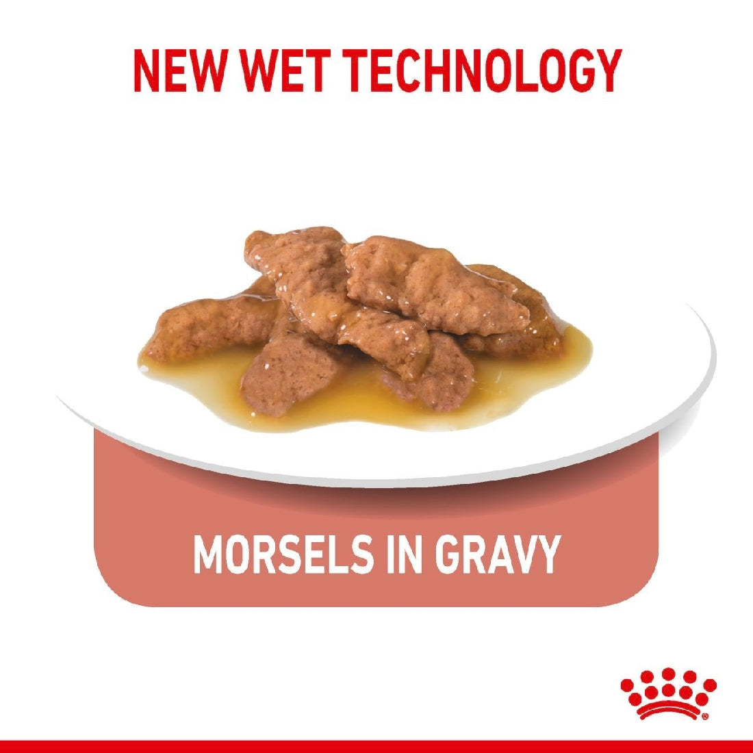 Royal Canin Cat Wet Indoor 7+ Gravy Box Of 12-Cat Food & Treats-Ascot Saddlery