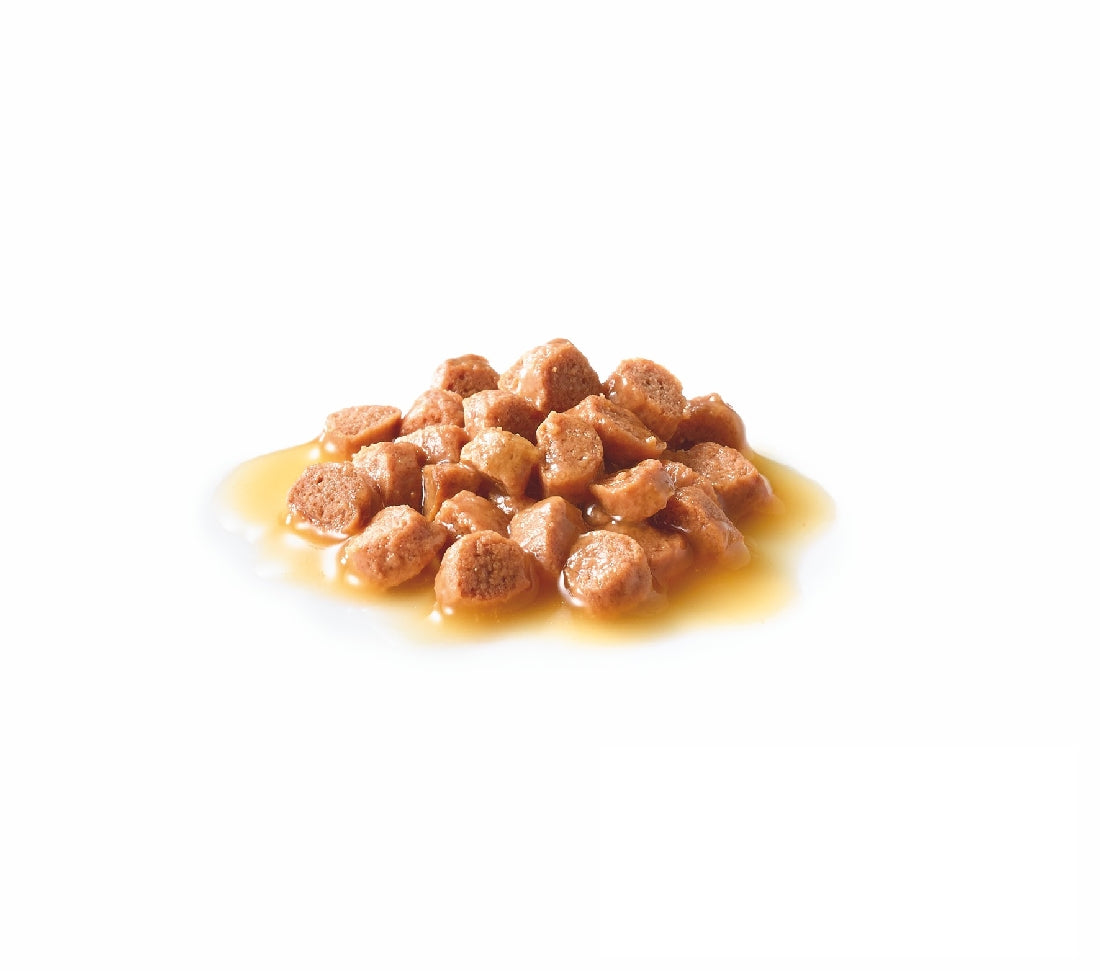 Royal Canin Cat Wet Kitten Gravy Box Of 12-Cat Food & Treats-Ascot Saddlery