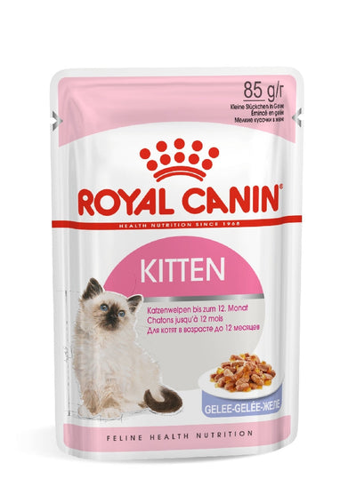 Royal Canin Cat Wet Kitten Jelly Box Of 12-Cat Food & Treats-Ascot Saddlery