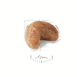 Royal Canin Dog Cocker Spaniel 3kg-Dog Food-Ascot Saddlery