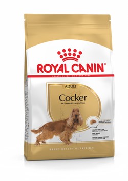 Royal Canin Dog Cocker Spaniel 3kg-Dog Food-Ascot Saddlery