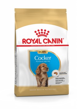 Royal Canin Dog Cocker Spaniel Junior 3kg-Dog Food-Ascot Saddlery
