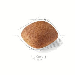 Royal Canin Dog Golden Retriever 12kg-Dog Food-Ascot Saddlery