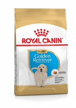 Royal Canin Dog Golden Retriever Junior 12kg-Dog Food-Ascot Saddlery
