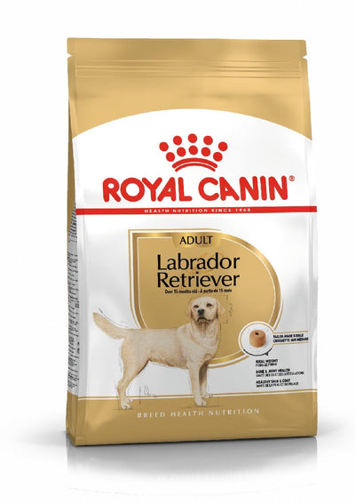 Royal Canin Dog Labrador 12kg-Dog Food-Ascot Saddlery