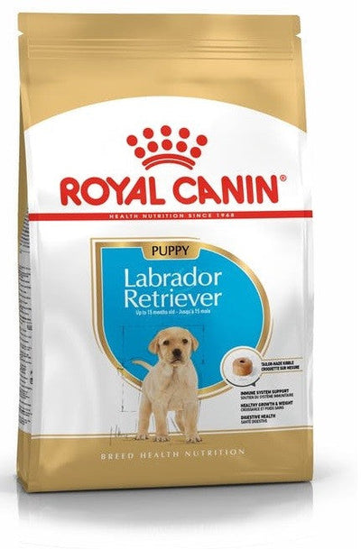 Royal Canin Dog Labrador Junior 12kg-Dog Food-Ascot Saddlery