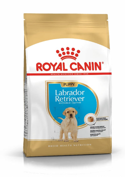 Royal Canin Dog Labrador Junior 3kg-Dog Food-Ascot Saddlery