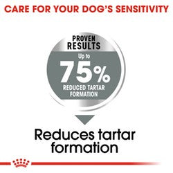 Royal Canin Dog Maxi Dental Care 9kg-Dog Food-Ascot Saddlery
