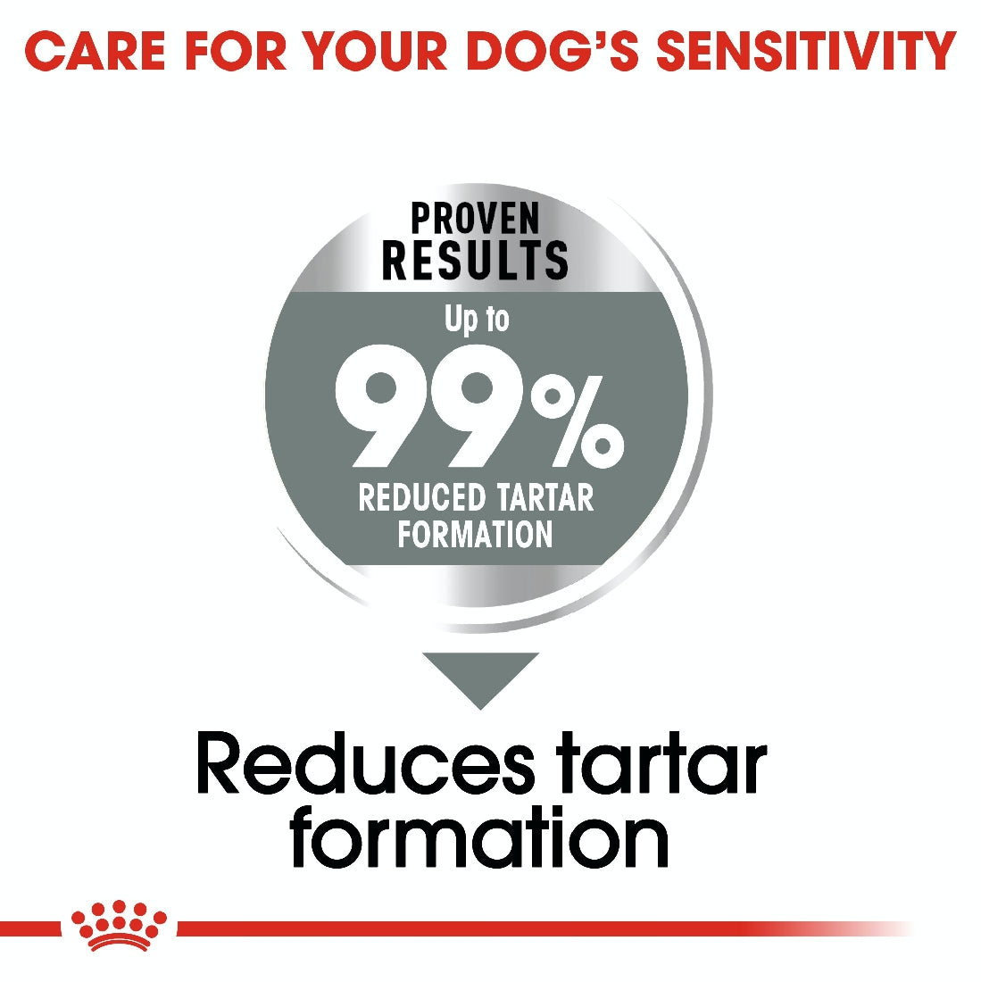 Royal Canin Dog Medium Dental Care 3kg-Dog Food-Ascot Saddlery