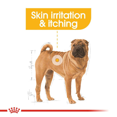 Royal Canin Dog Medium Dermacomfort 12kg-Dog Food-Ascot Saddlery