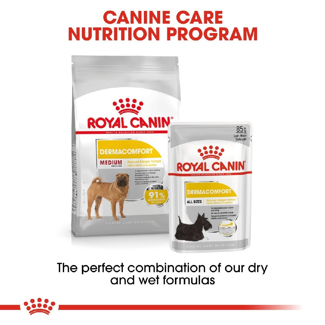 Royal Canin Dog Medium Dermacomfort 3kg-Dog Food-Ascot Saddlery