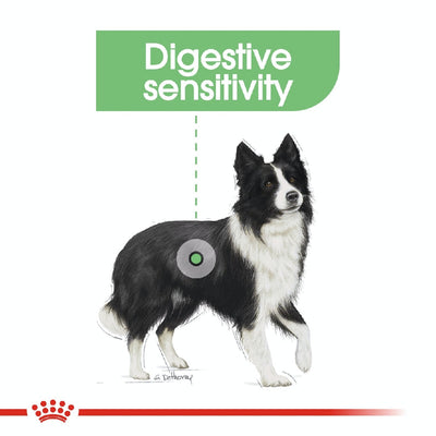 Royal Canin Dog Medium Digestive Care 12kg-Dog Food-Ascot Saddlery