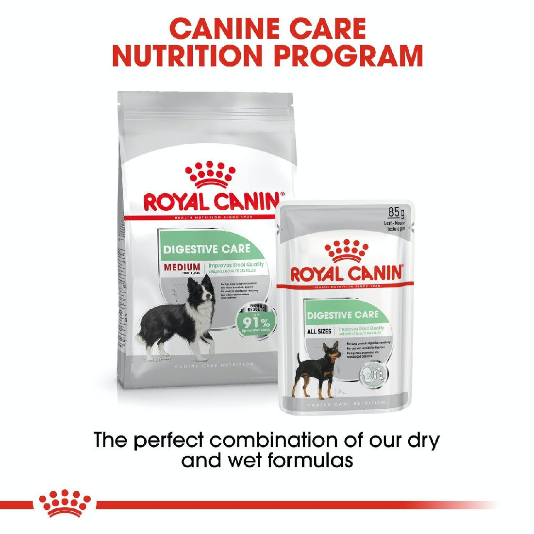Royal Canin Dog Medium Digestive Care 3kg-Dog Food-Ascot Saddlery