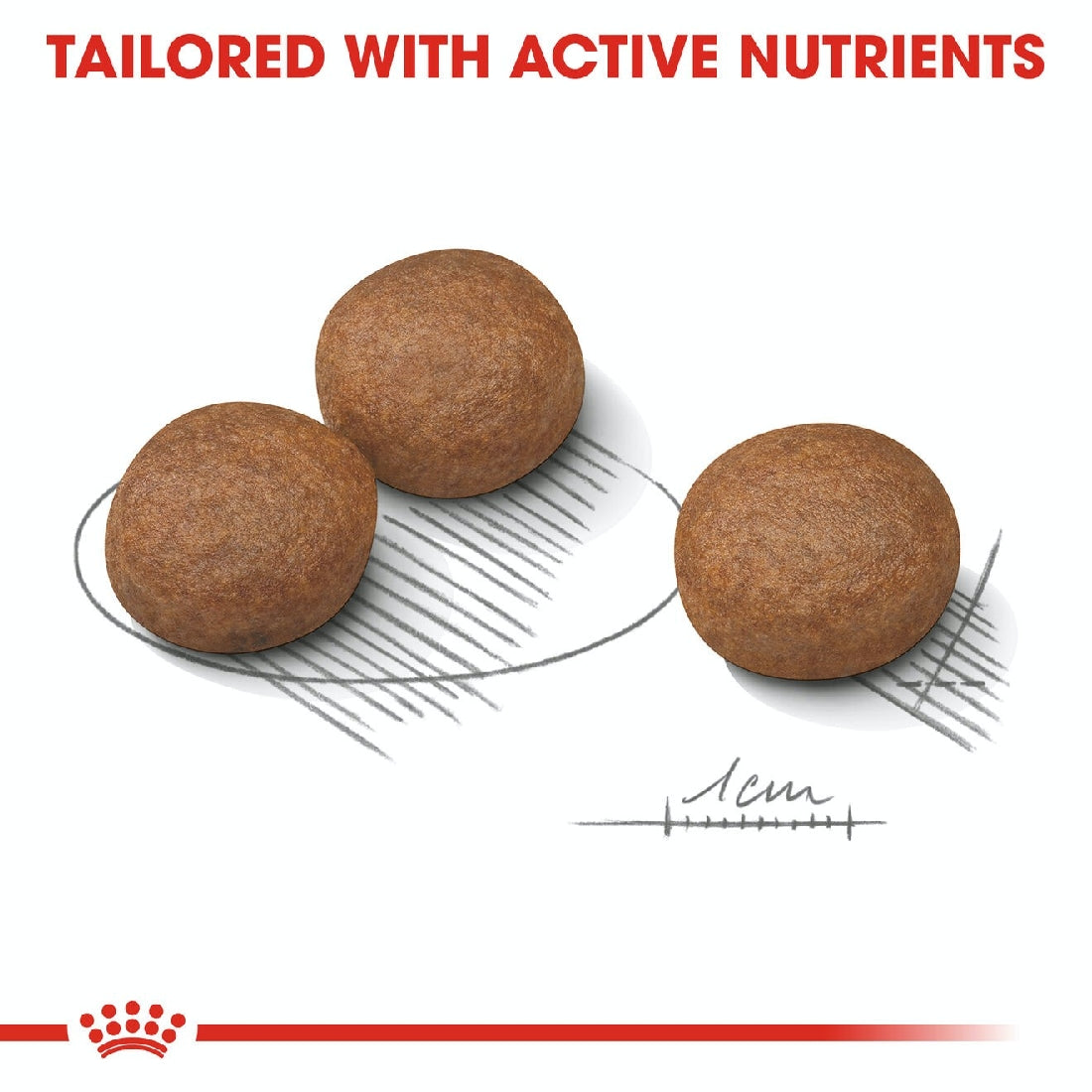 Royal Canin Dog Medium Digestive Care 3kg-Dog Food-Ascot Saddlery