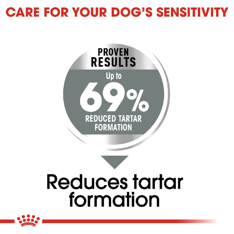 Royal Canin Dog Mini Dental Care 3kg-Dog Food-Ascot Saddlery