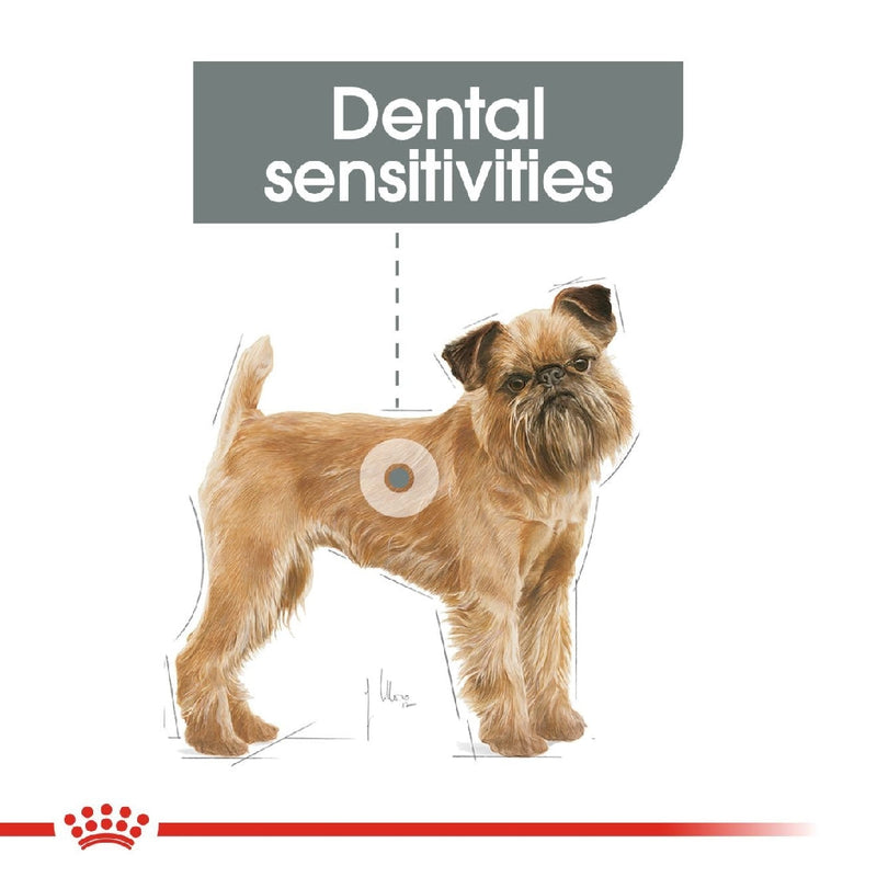 Royal Canin Dog Mini Dental Care 3kg-Dog Food-Ascot Saddlery