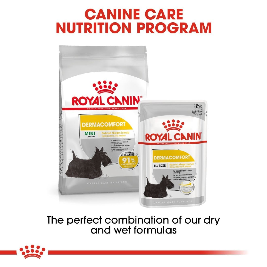 Royal Canin Dog Mini Dermacomfort 3kg-Dog Food-Ascot Saddlery