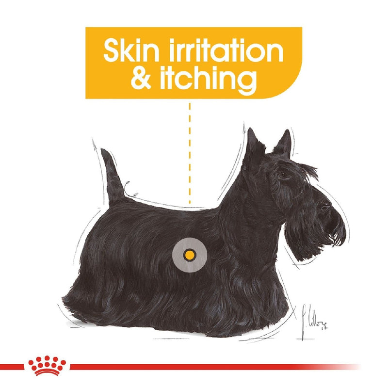 Royal Canin Dog Mini Dermacomfort 3kg-Dog Food-Ascot Saddlery