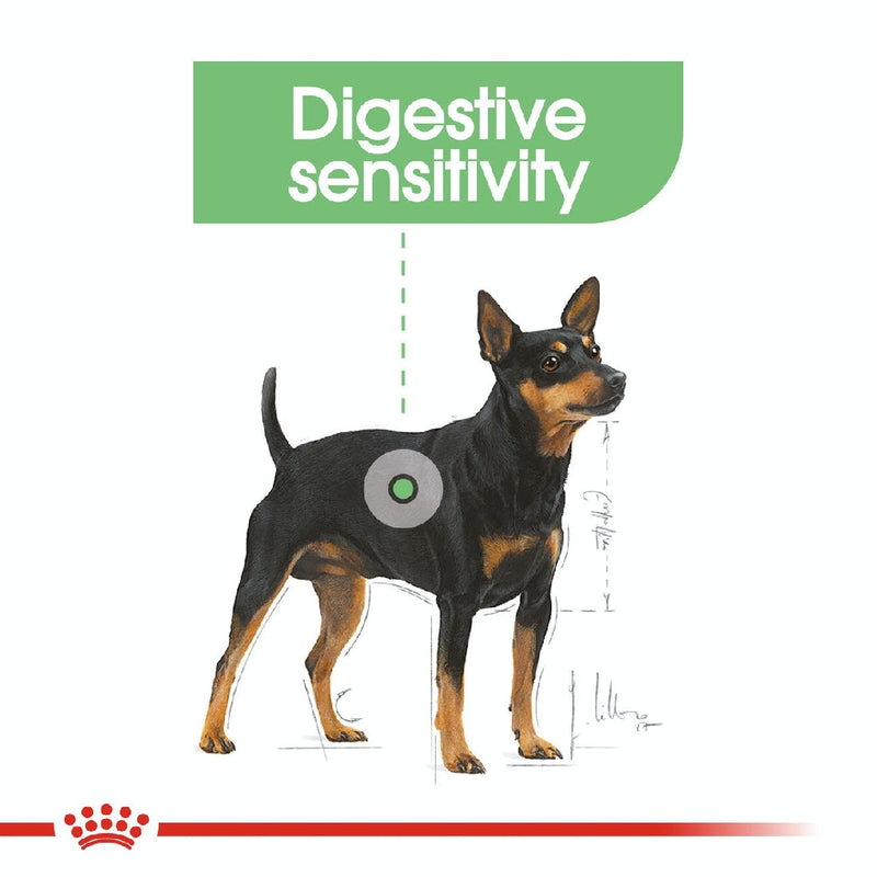 Royal Canin Dog Mini Digestive Care 3kg-Dog Food-Ascot Saddlery