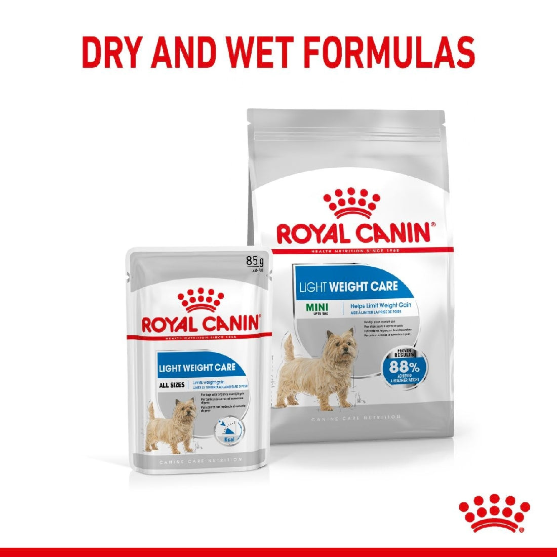 Royal Canin Dog Mini Lightweight Care 3kg-Dog Food-Ascot Saddlery