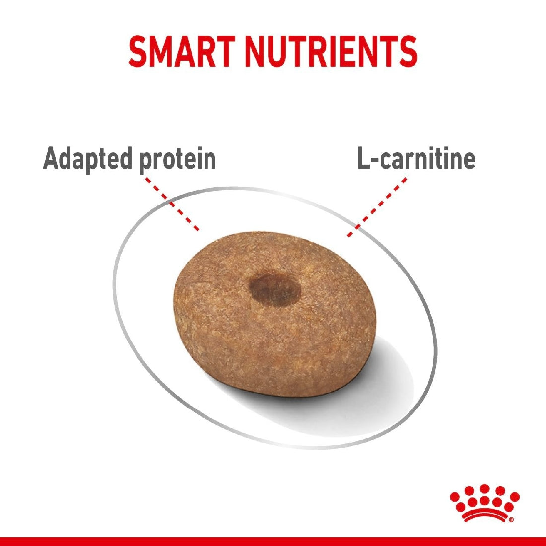 Royal Canin Dog Mini Lightweight Care 3kg-Dog Food-Ascot Saddlery