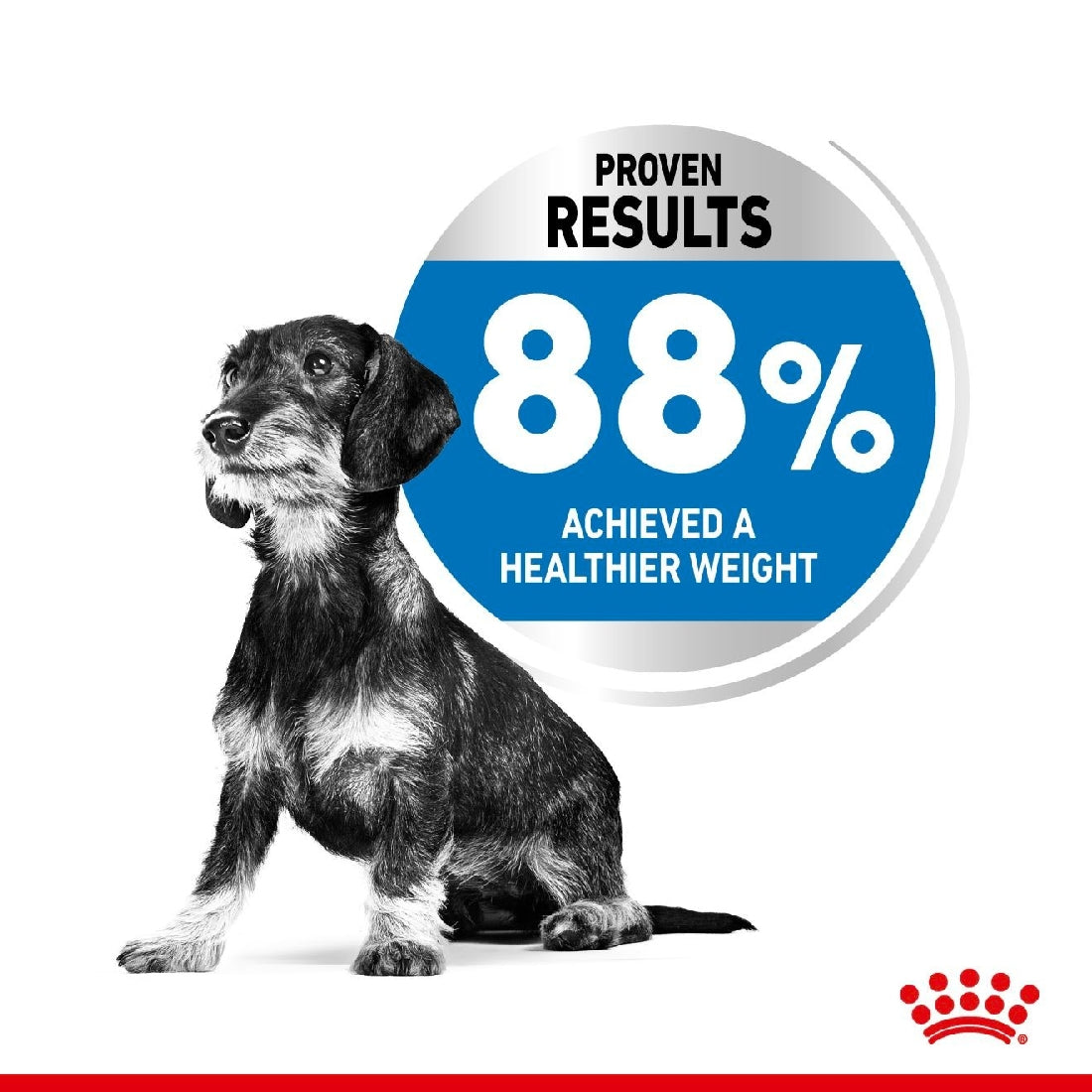 Royal Canin Dog Mini Lightweight Care 3kg-Dog Food-Ascot Saddlery