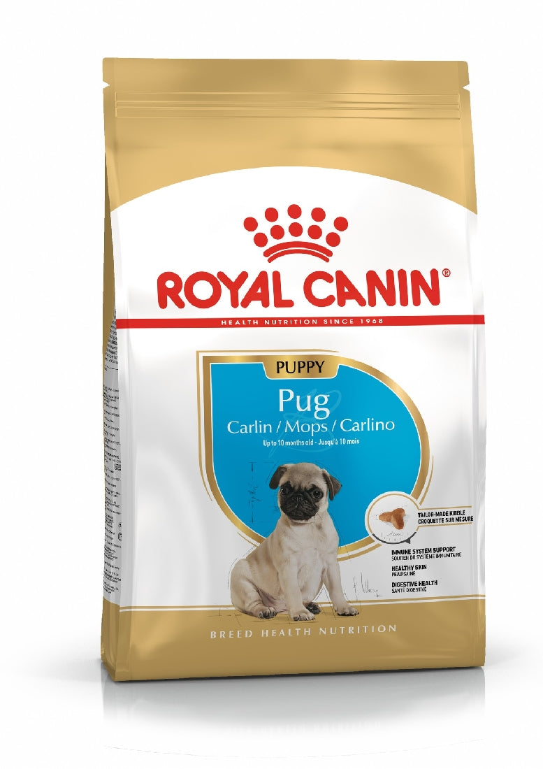 Royal Canin Dog Pug Junior 1.5kg-Dog Food-Ascot Saddlery