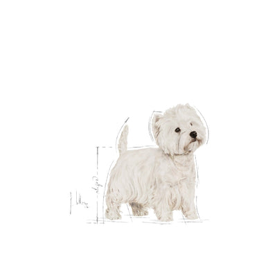 Royal Canin Dog West Highland White Terrier 3kg-Dog Food-Ascot Saddlery