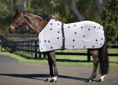 Rug Magnetic Therapy-RUGS: Summer Rugs, Neck Rugs & Hoods-Ascot Saddlery