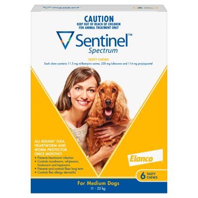 Sentinel Dog 11kg-22kg Medium 6 Pack-Dog Wormer & Flea-Ascot Saddlery