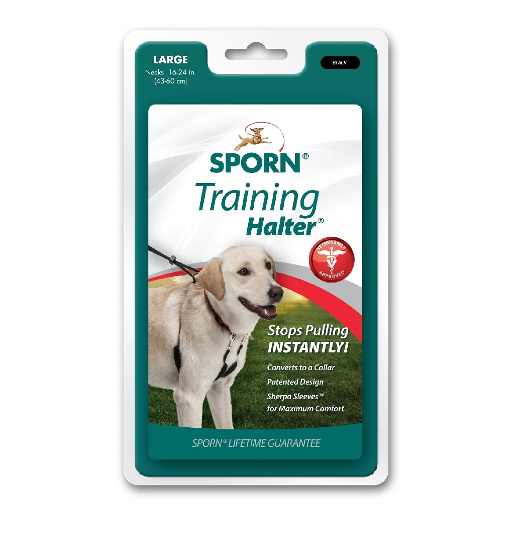 Sporn Halter Black-Dog Collars & Leads-Ascot Saddlery