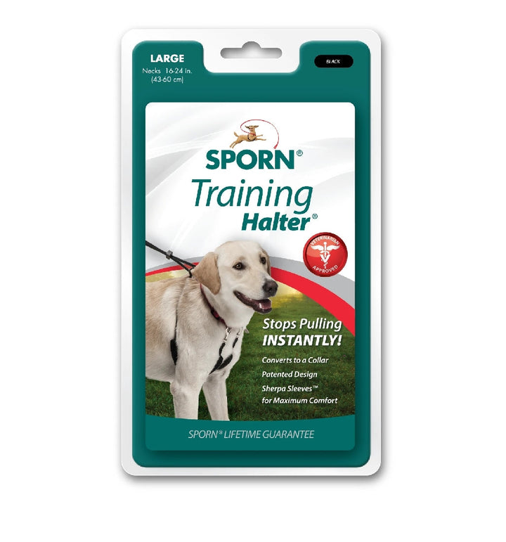 Sporn Halter Black-Dog Collars & Leads-Ascot Saddlery