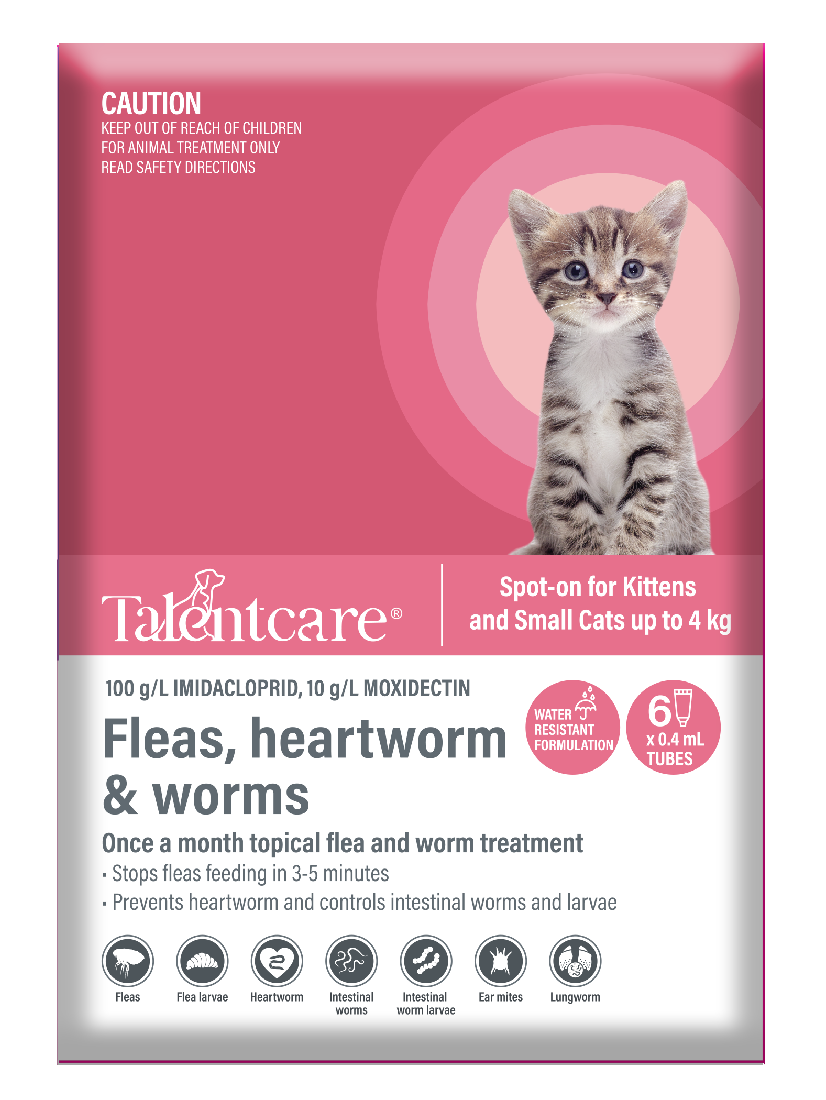 Talentcare Spot On Cat & Kitten Under 4kg 6 Pack-Cat Potions & Lotions-Ascot Saddlery