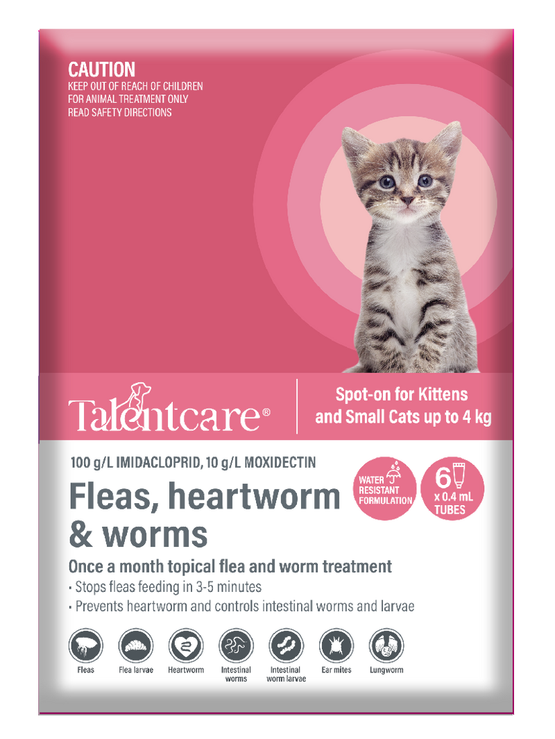 Talentcare Spot On Cat & Kitten Under 4kg 6 Pack-Cat Potions & Lotions-Ascot Saddlery